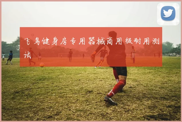 飞鸟健身房专用器械商用级耐用测试