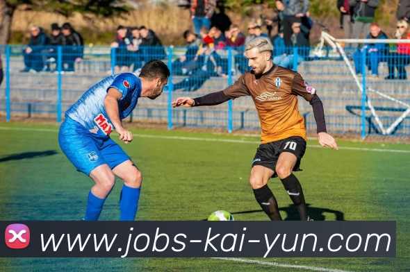 开云全站App 开云全站App